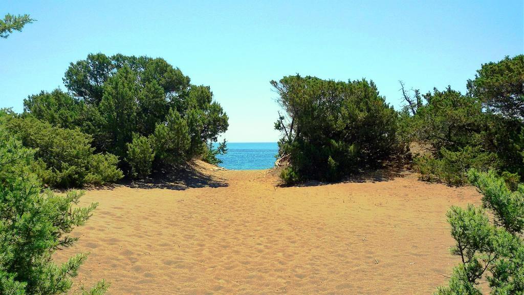 Beachfront Villa Rhodes Seashell Генади Екстериор снимка